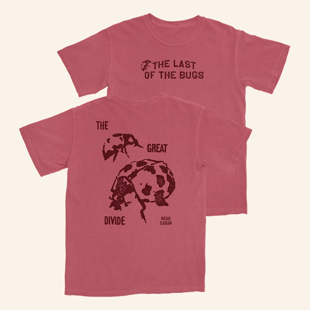 Noah Kahan Merch 2026 The Last Of The Bugs T-Shirt Best Gifts For Music Lovers