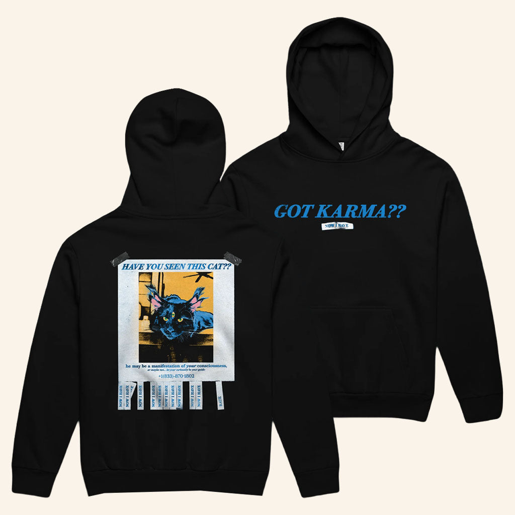 Raue Merch 2026 Have You Seen Hoodie Got Karma Hoodie Music Gift Ideas For Guys