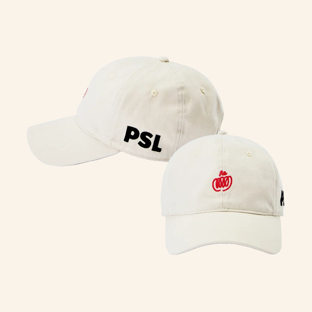 Starbucks Merch 2026 PSL Hat Embroidered New Fall Accessory Gift For Friends