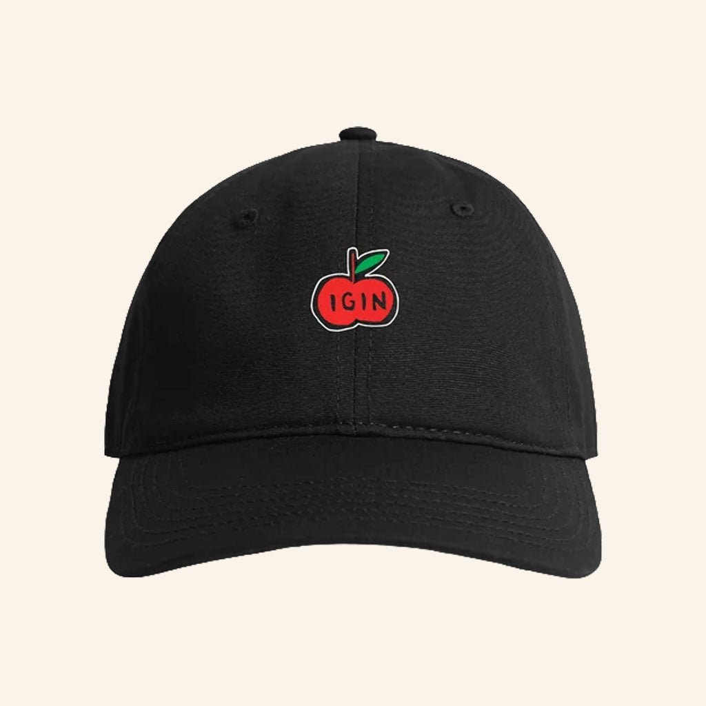 IGIN Merch 2026 Access Hat Apple Gin Cap BTS Jin Merch Gift Ideas For Friends